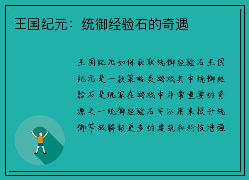 王国纪元：统御经验石的奇遇