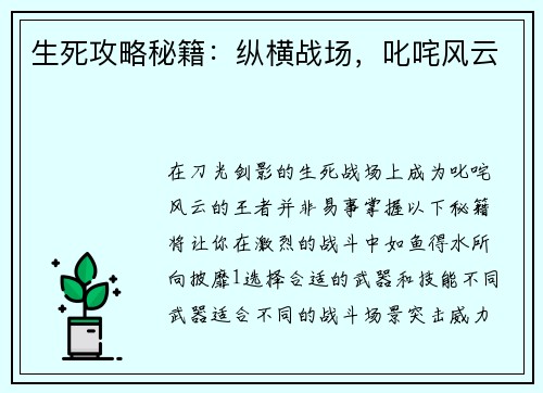 生死攻略秘籍：纵横战场，叱咤风云